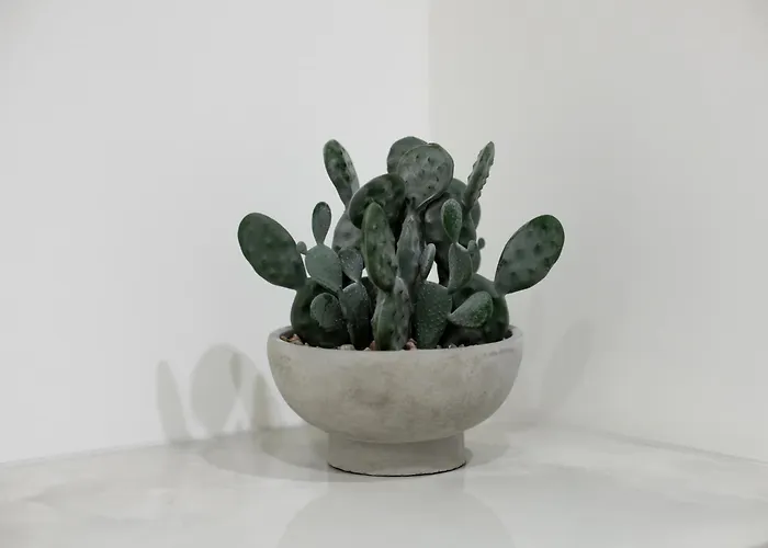 Dzīvoklis Esplanade Old Town Center - Self Check-in - Fast Wifi - Smart Tv Riga